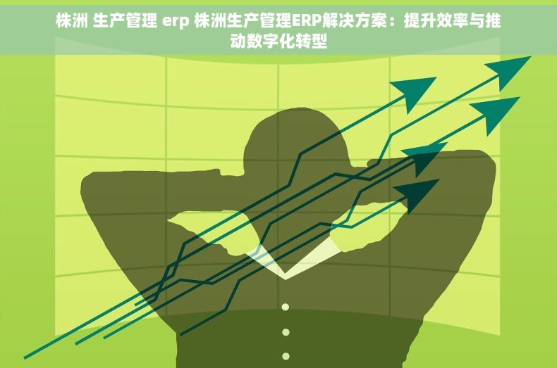 株洲 生产管理 erp 株洲生产管理ERP解决方案：提升效率与推动数字化转型