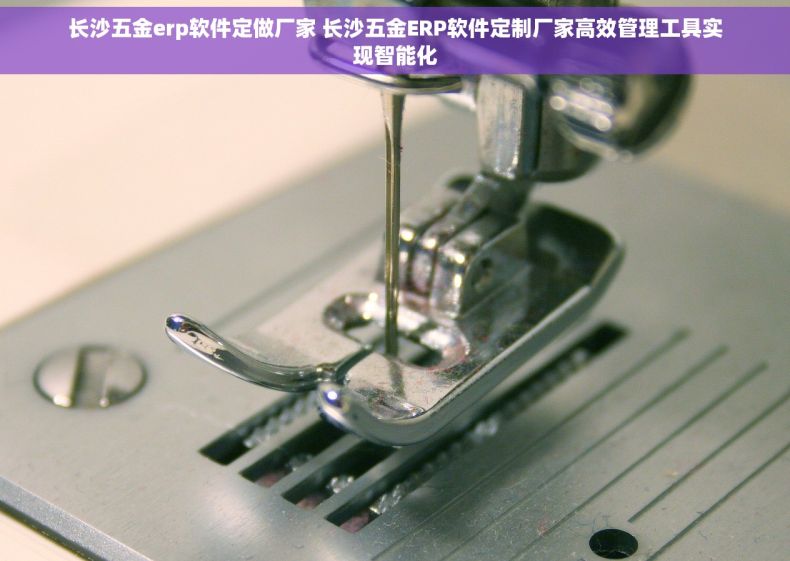 长沙五金erp软件定做厂家 长沙五金ERP软件定制厂家高效管理工具实现智能化