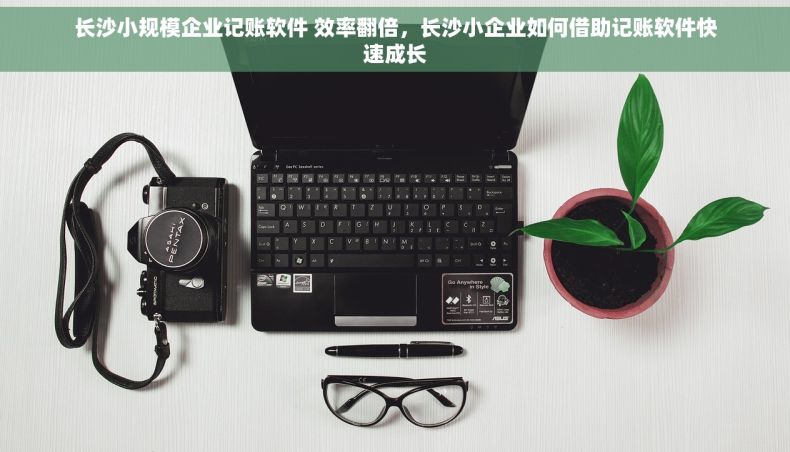 长沙小规模企业记账软件 效率翻倍，长沙小企业如何借助记账软件快速成长