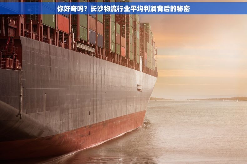 你好奇吗？长沙物流行业平均利润背后的秘密