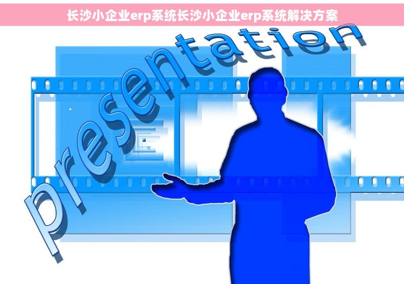 长沙小企业erp系统长沙小企业erp系统解决方案