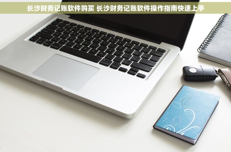 长沙财务记账软件购买 长沙财务记账软件操作指南快速上手