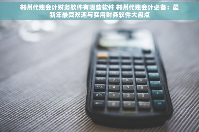 郴州代账会计财务软件有哪些软件 郴州代账会计必备：最新年最受欢迎与实用财务软件大盘点