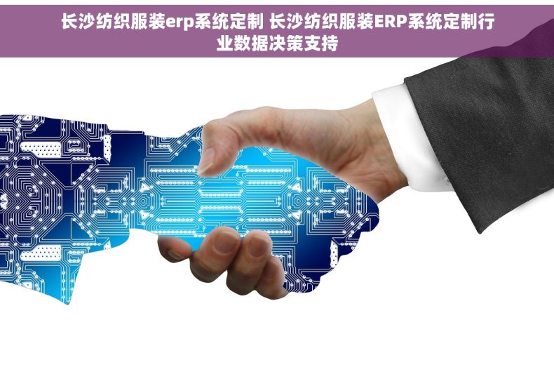 长沙纺织服装erp系统定制 长沙纺织服装ERP系统定制行业数据决策支持