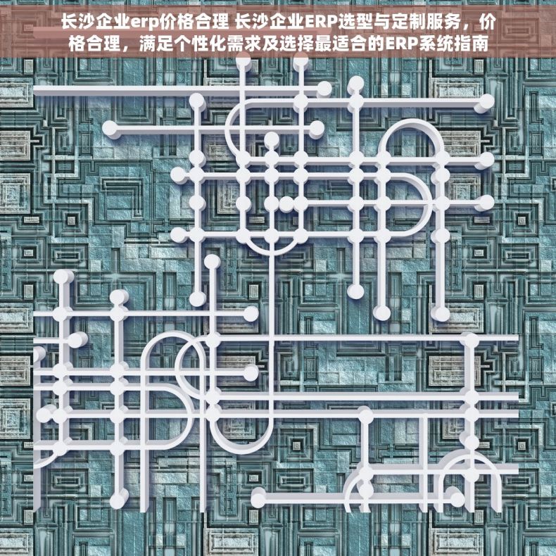 长沙企业erp价格合理 长沙企业ERP选型与定制服务，价格合理，满足个性化需求及选择最适合的ERP系统指南