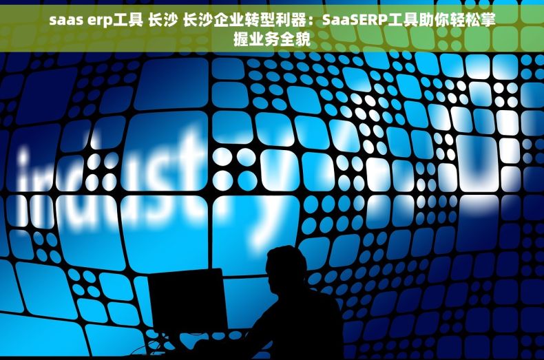 saas erp工具 长沙 长沙企业转型利器：SaaSERP工具助你轻松掌握业务全貌