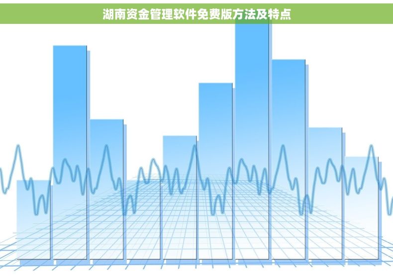 湖南资金管理软件免费版方法及特点