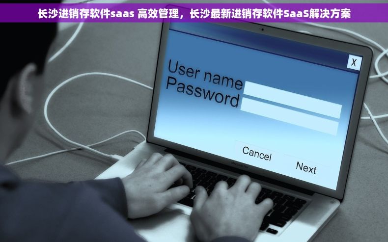 长沙进销存软件saas 高效管理，长沙最新进销存软件SaaS解决方案