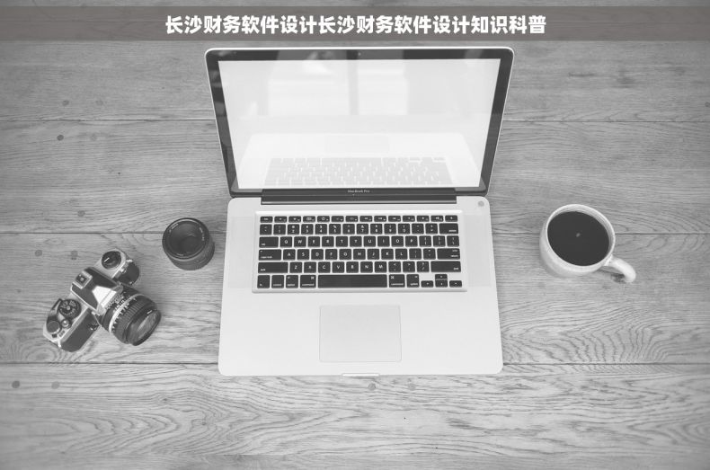长沙财务软件设计长沙财务软件设计知识科普