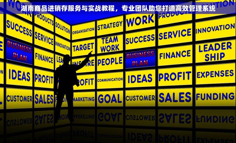 湖南商品进销存服务与实战教程，专业团队助您打造高效管理系统