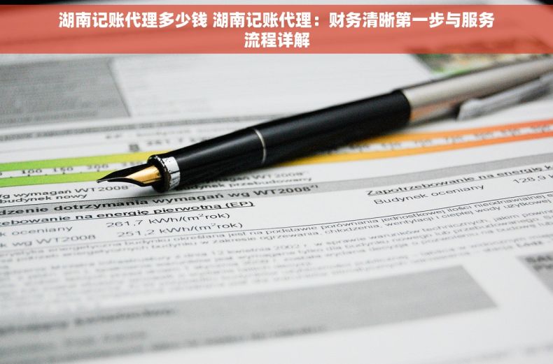 湖南记账代理多少钱 湖南记账代理：财务清晰第一步与服务流程详解