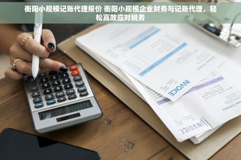 衡阳小规模记账代理报价 衡阳小规模企业财务与记账代理，轻松高效应对税务