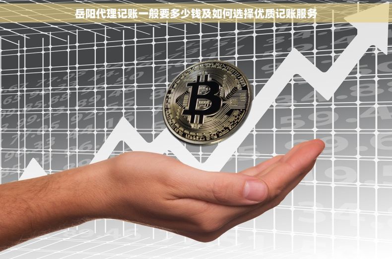 岳阳代理记账一般要多少钱及如何选择优质记账服务