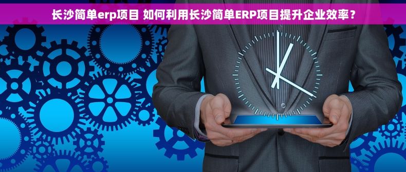 长沙简单erp项目 如何利用长沙简单ERP项目提升企业效率？