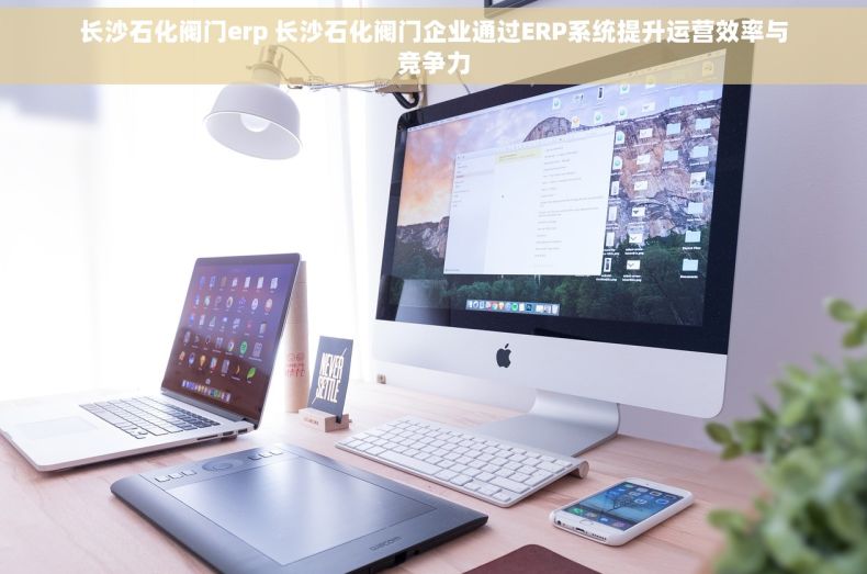 长沙石化阀门erp 长沙石化阀门企业通过ERP系统提升运营效率与竞争力