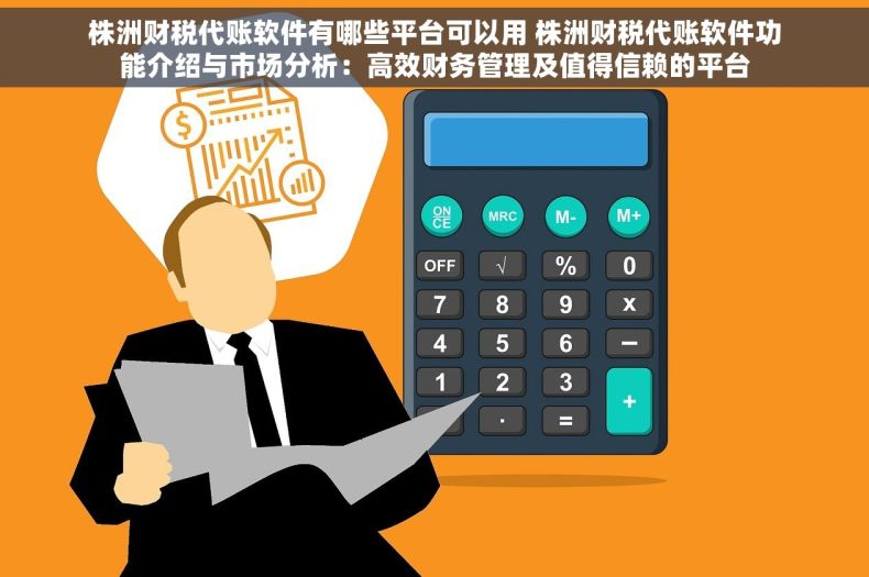 株洲财税代账软件有哪些平台可以用 株洲财税代账软件功能介绍与市场分析：高效财务管理及值得信赖的平台