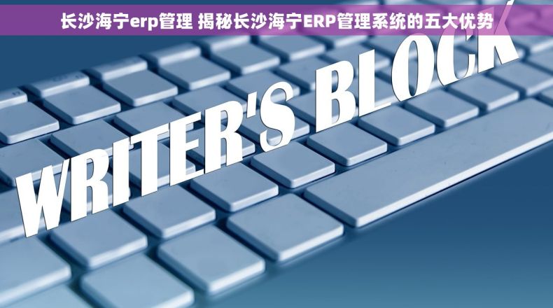 长沙海宁erp管理 揭秘长沙海宁ERP管理系统的五大优势
