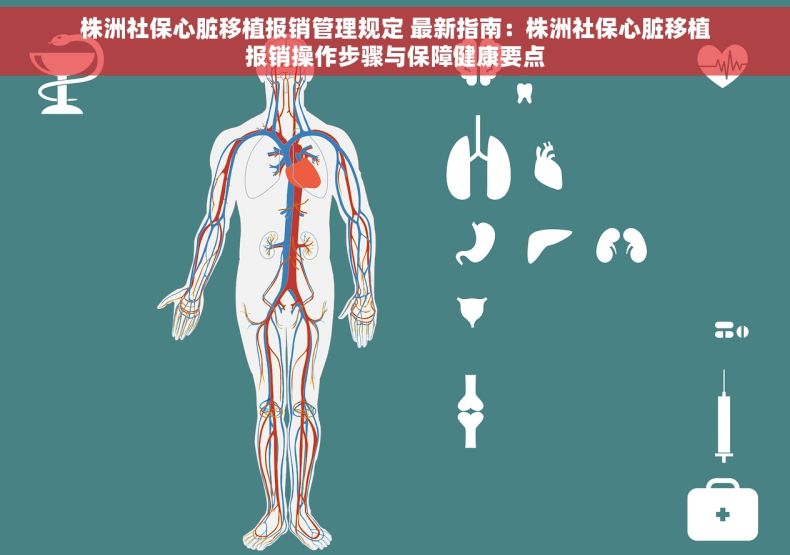 株洲社保心脏移植报销管理规定 最新指南：株洲社保心脏移植报销操作步骤与保障健康要点