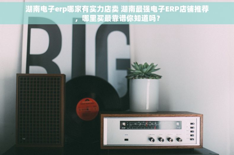 湖南电子erp哪家有实力店卖 湖南最强电子ERP店铺推荐，哪里买最靠谱你知道吗？