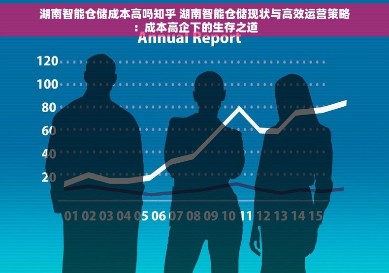 湖南智能仓储成本高吗知乎 湖南智能仓储现状与高效运营策略：成本高企下的生存之道