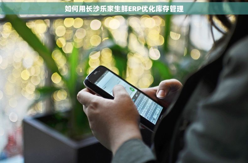 如何用长沙乐家生鲜ERP优化库存管理