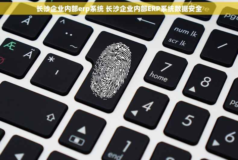 长沙企业内部erp系统 长沙企业内部ERP系统数据安全