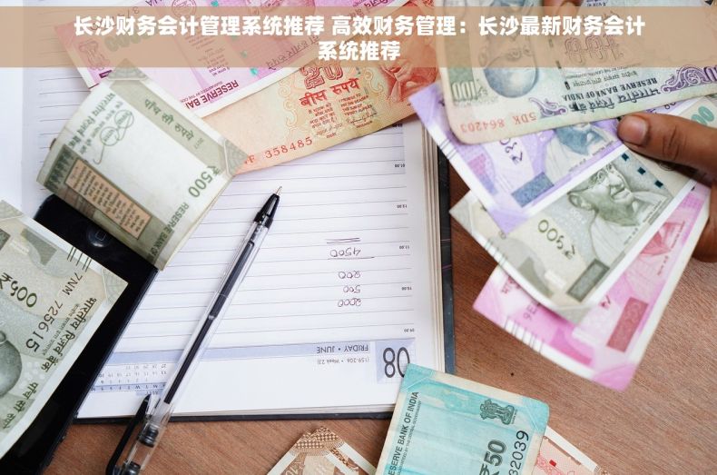 长沙财务会计管理系统推荐 高效财务管理：长沙最新财务会计系统推荐