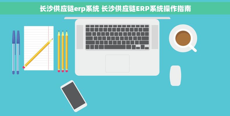 长沙供应链erp系统 长沙供应链ERP系统操作指南