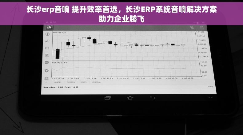 长沙erp音响 提升效率首选，长沙ERP系统音响解决方案助力企业腾飞
