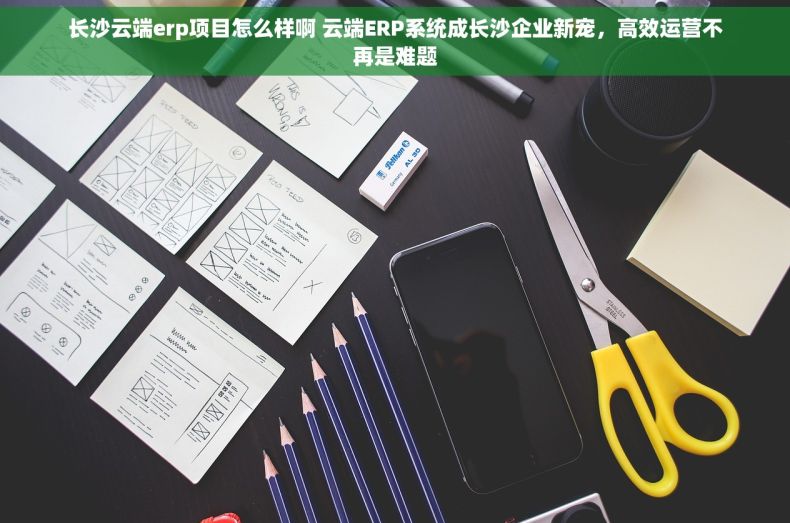 长沙云端erp项目怎么样啊 云端ERP系统成长沙企业新宠，高效运营不再是难题