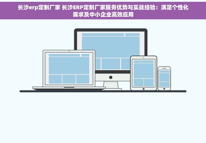 长沙erp定制厂家 长沙ERP定制厂家服务优势与实战经验：满足个性化需求及中小企业高效应用