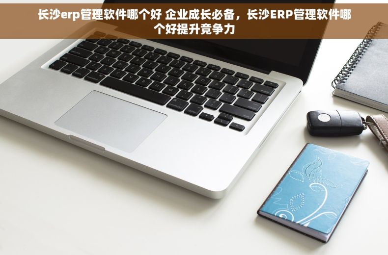 长沙erp管理软件哪个好 企业成长必备，长沙ERP管理软件哪个好提升竞争力