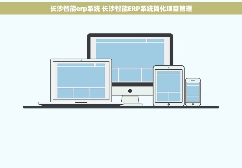 长沙智能erp系统 长沙智能ERP系统简化项目管理