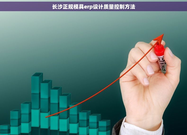 长沙正规模具erp设计质量控制方法