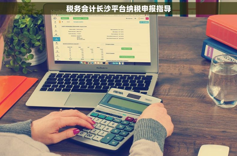 税务会计长沙平台纳税申报指导