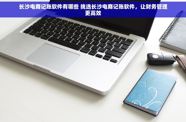 长沙电商记账软件有哪些 挑选长沙电商记账软件，让财务管理更高效