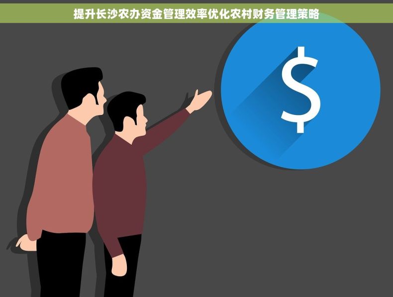 提升长沙农办资金管理效率优化农村财务管理策略