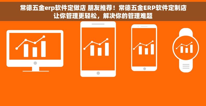 常德五金erp软件定做店 朋友推荐！常德五金ERP软件定制店让你管理更轻松，解决你的管理难题
