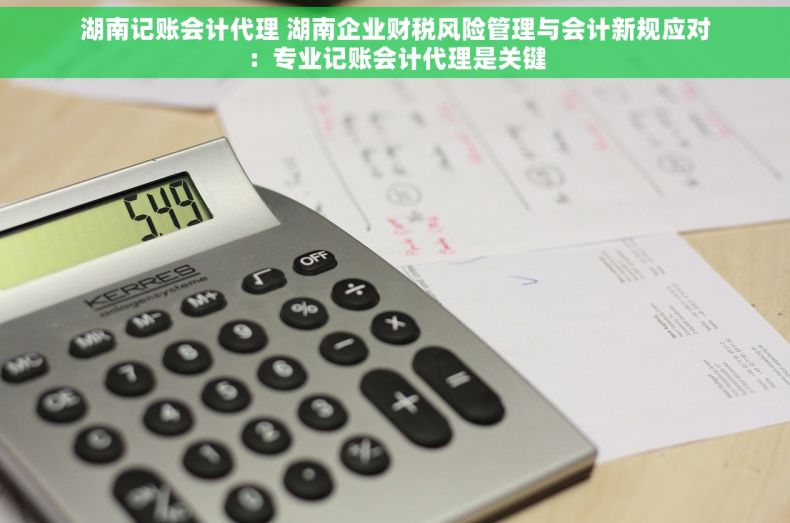 湖南记账会计代理 湖南企业财税风险管理与会计新规应对：专业记账会计代理是关键
