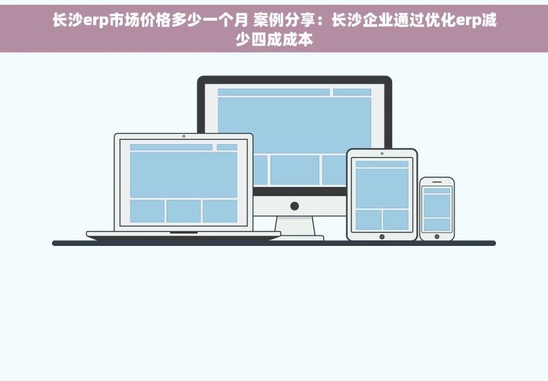 长沙erp市场价格多少一个月 案例分享：长沙企业通过优化erp减少四成成本