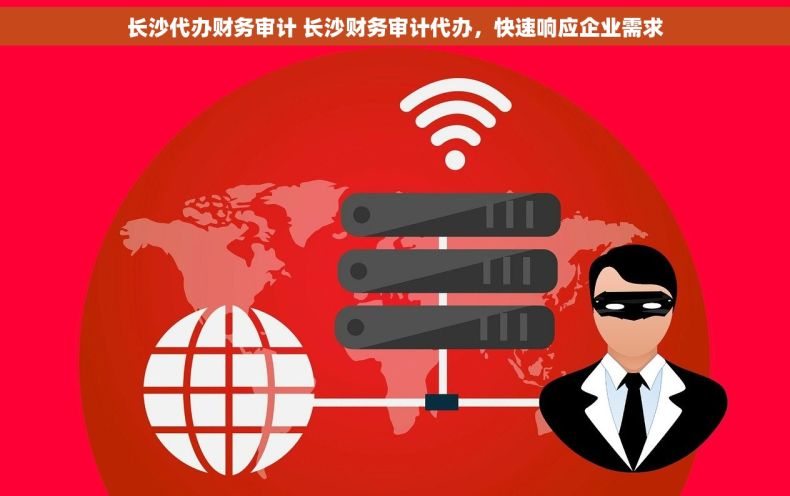 长沙代办财务审计 长沙财务审计代办，快速响应企业需求
