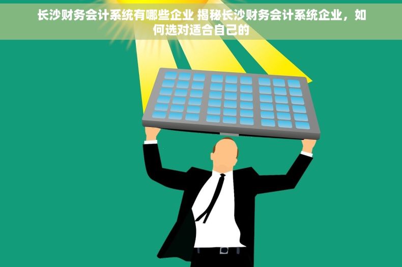 长沙财务会计系统有哪些企业 揭秘长沙财务会计系统企业，如何选对适合自己的