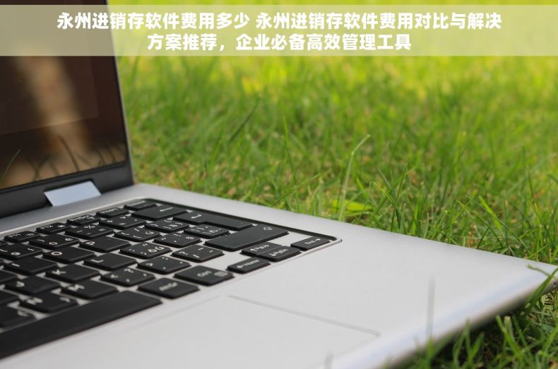 永州进销存软件费用多少 永州进销存软件费用对比与解决方案推荐，企业必备高效管理工具