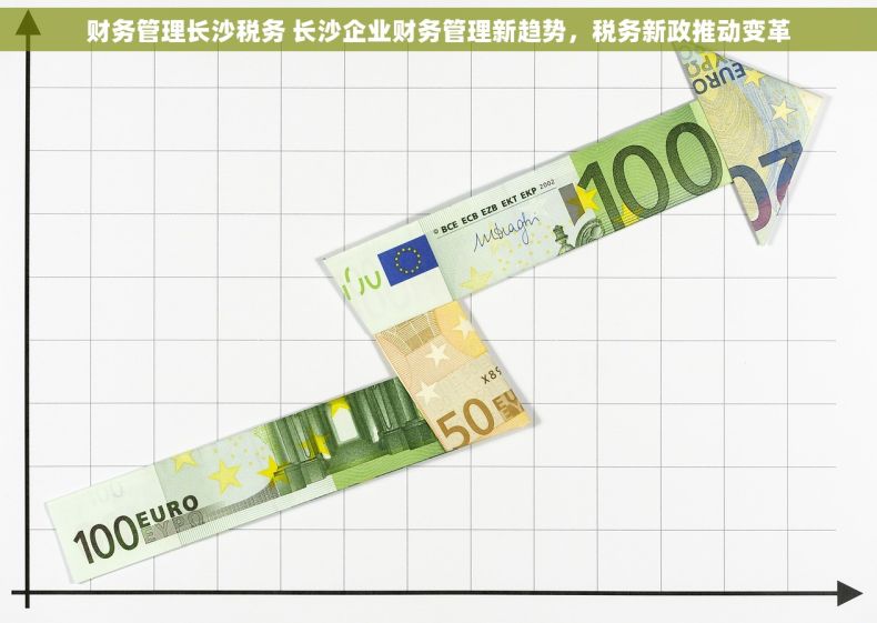 财务管理长沙税务 长沙企业财务管理新趋势，税务新政推动变革