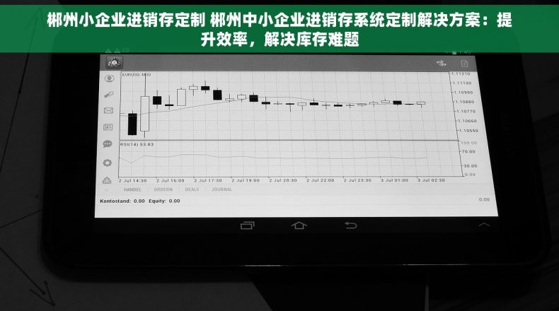 郴州小企业进销存定制 郴州中小企业进销存系统定制解决方案：提升效率，解决库存难题