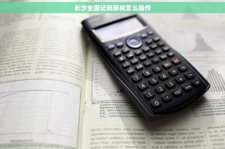 长沙全国记账报税怎么操作