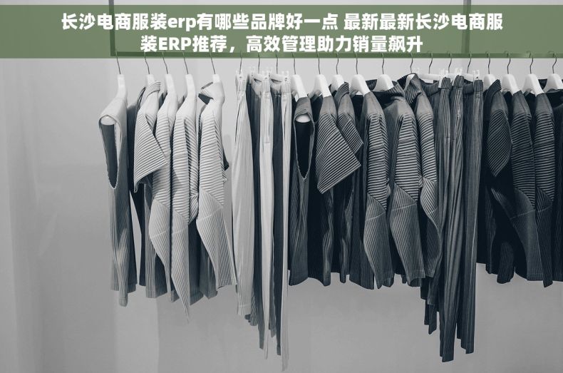 长沙电商服装erp有哪些品牌好一点 最新最新长沙电商服装ERP推荐，高效管理助力销量飙升