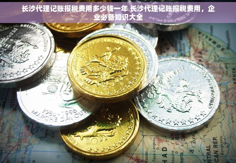 长沙代理记账报税费用多少钱一年 长沙代理记账报税费用，企业必备知识大全