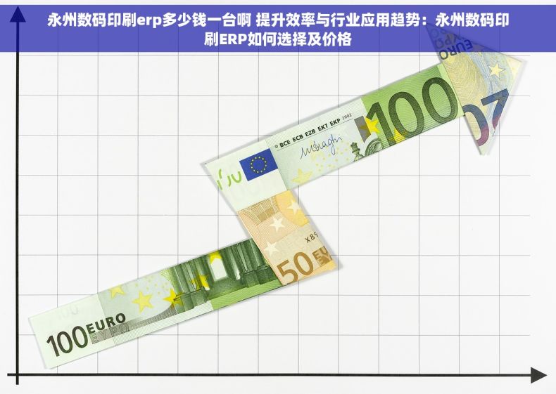 永州数码印刷erp多少钱一台啊 提升效率与行业应用趋势：永州数码印刷ERP如何选择及价格