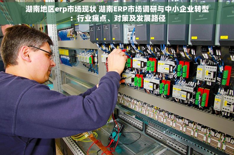 湖南地区erp市场现状 湖南ERP市场调研与中小企业转型：行业痛点、对策及发展路径